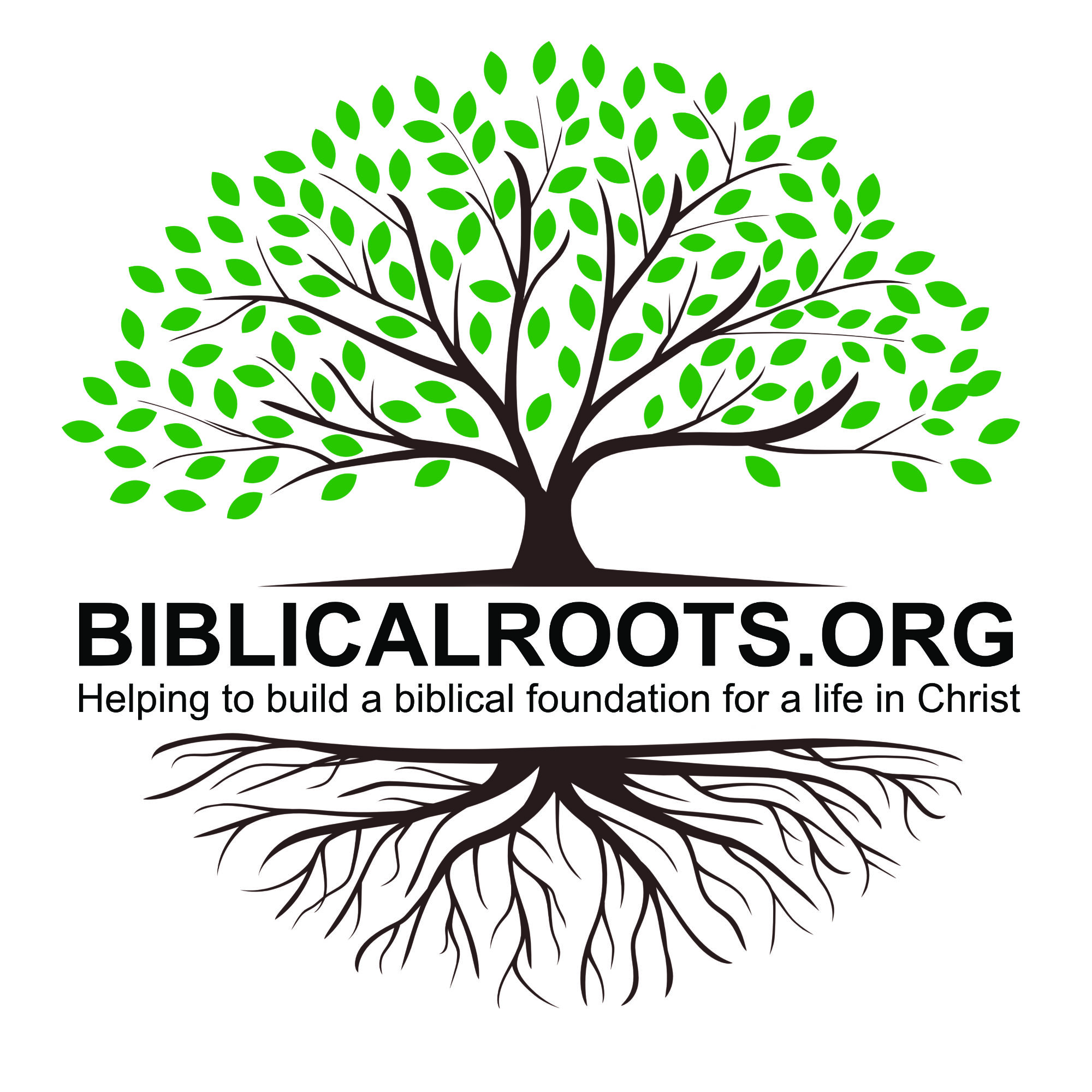 biblicalroots.org